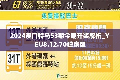 2024新澳门今晚开特马直播,稳定评估计划_X版53.799