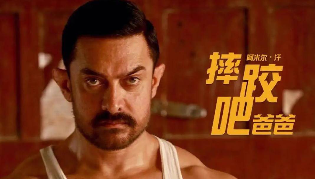 摔跤吧爸爸最新票房,深度分析与观点阐述