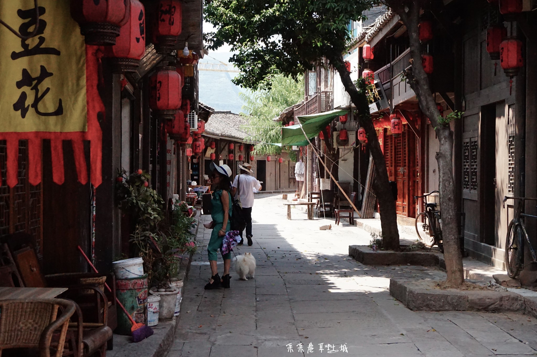 非农最新消息,小巷深处的独特风味探秘