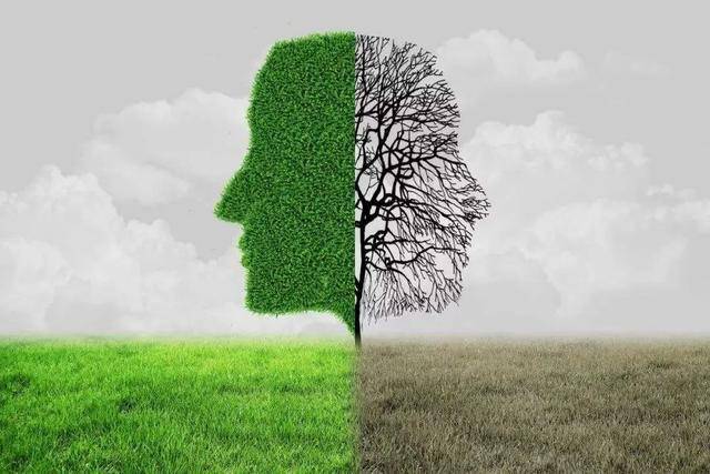 成武大蒜最新价格,踏上一场自然之旅,探寻内心的宁静与平和