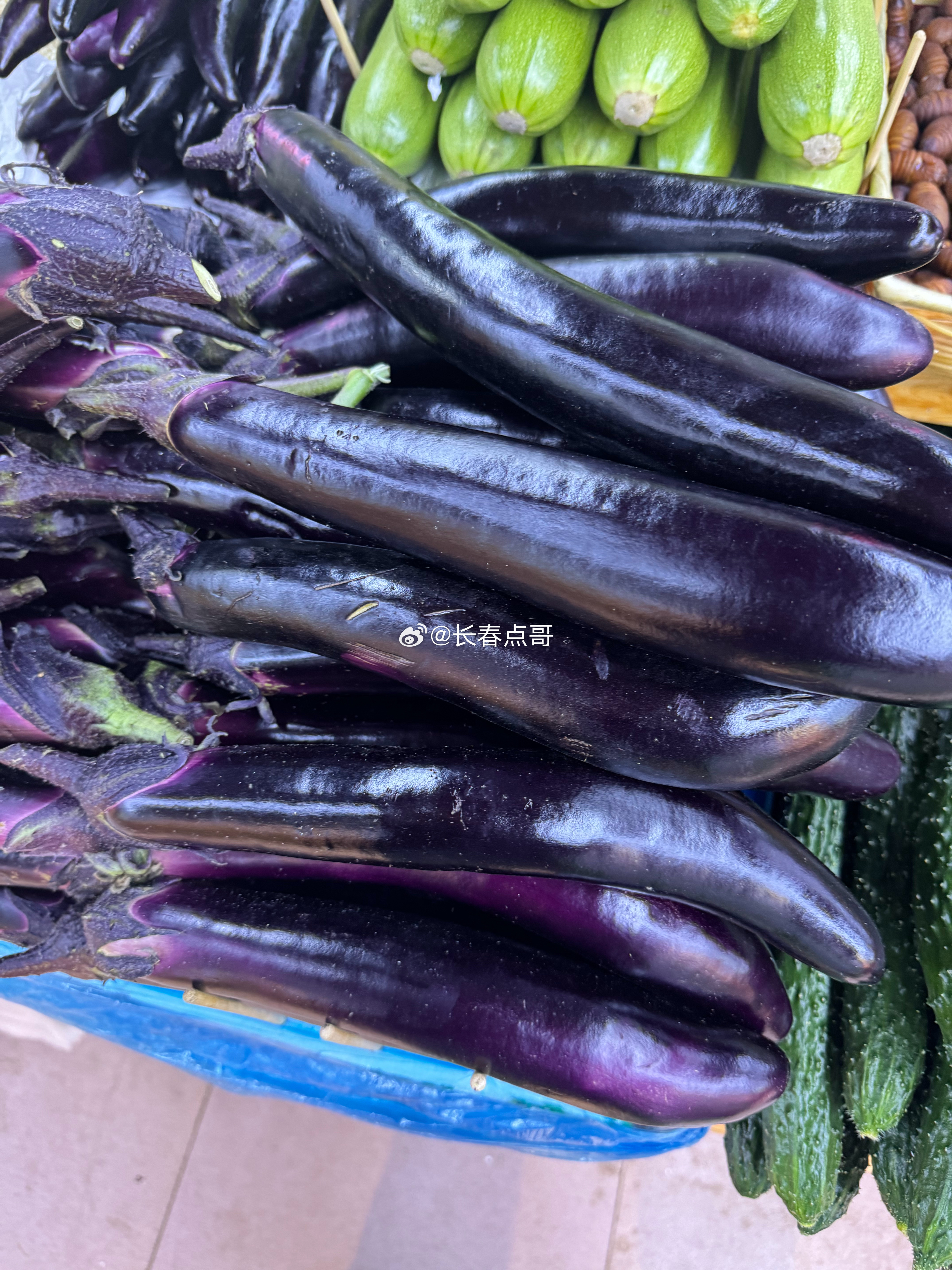 辽宁茄子价格最新行情🍆🌿