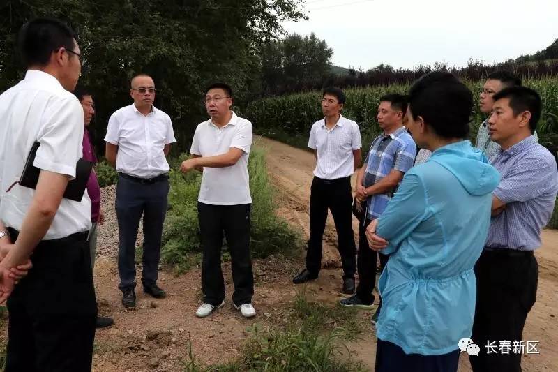 长春新区空港最新动态