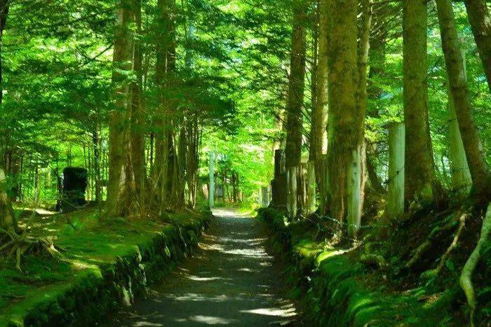 在一个宁静而美丽的象山小镇上,阳光透过郁郁葱葱的绿叶洒在街道上,温暖而充满活力。在这个充满生活气息的地方,我们的主人公小明和他的朋友们,每天都上演着温馨有趣的求职故事。今天,小明打开了象山招聘网最新招聘信息网,一场充满爱与陪伴的求职之旅就此展开。