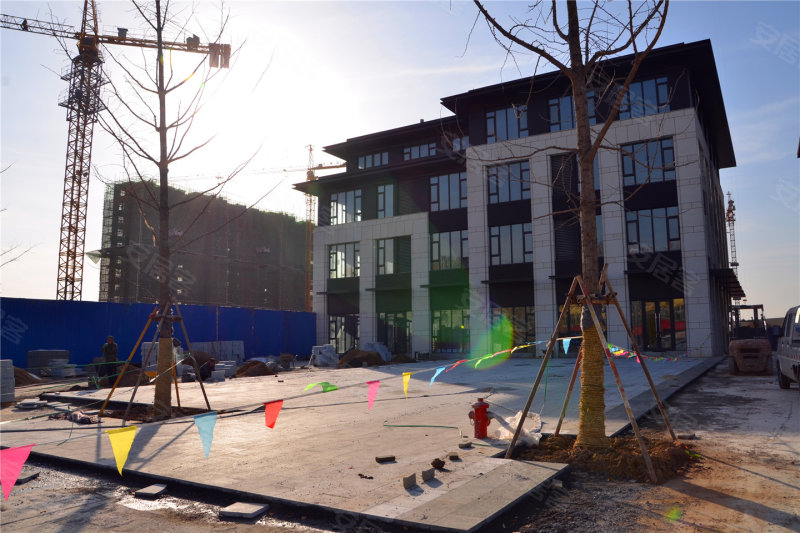 泰安汉和十园的最新进展,观点阐述与分析