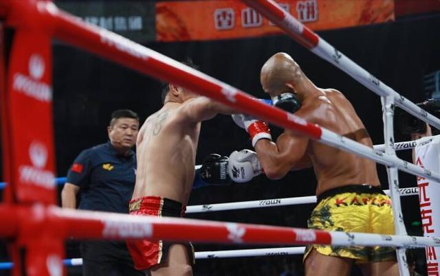 武林风最新一期比赛结果,深度分析与个人观点