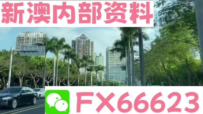 新澳免费资料精准大全,高度协调实施_社交版82.593