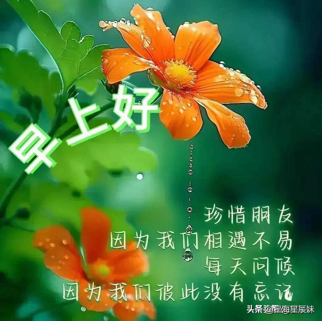 2024天天彩全年免费资料,理论考证解析_影像版95.336