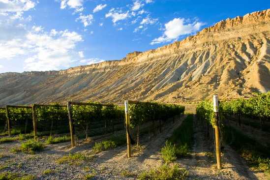 最新卢龙限号,一场自然美景的探索之旅
