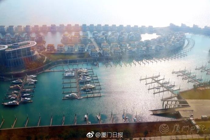 2017年厦门新鲜资讯