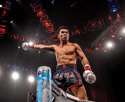 位宁辉全部比赛,一场关于友情与陪伴的温馨故事