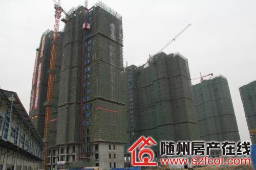 随州帝明世家最新资讯