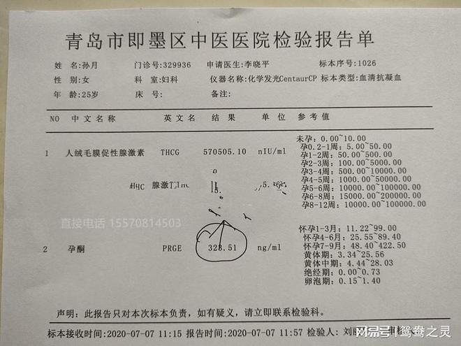 最新湖北病历,背景、事件与影响