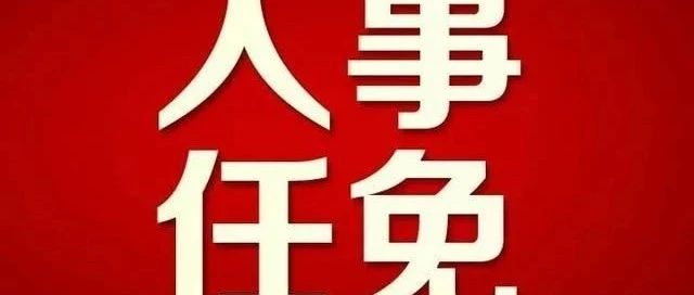 宜春市人事任免最新动态，观点论述