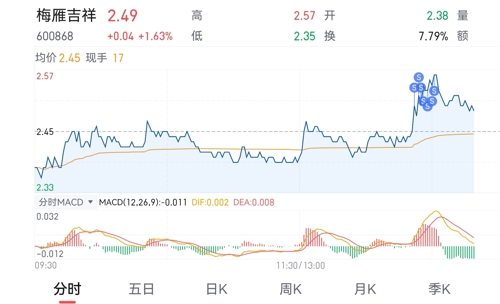 标题,揭秘梅雁吉祥股票行情,洞悉股市风云变幻📈🔥
