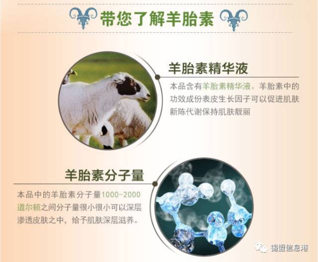 羊胎盘胶囊价格,历史背景、重要事件与当下地位