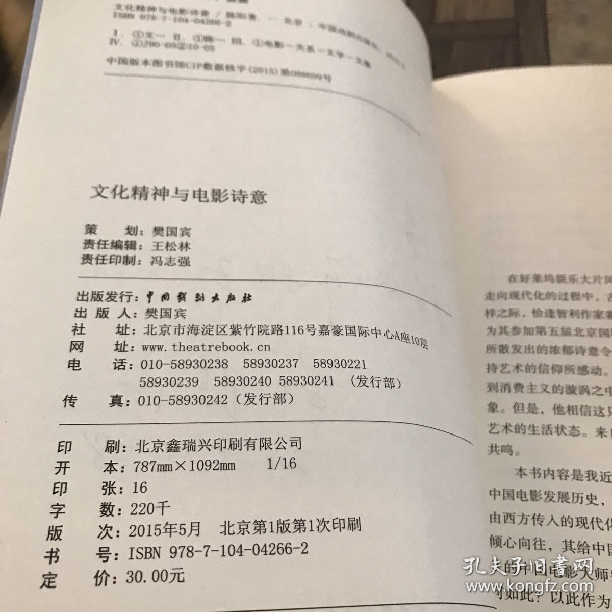 中国精神病题材电影论述