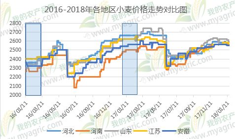 今日麦子价格走势最新图，市场分析及其影响因素