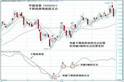 羊只市场最新预测走势