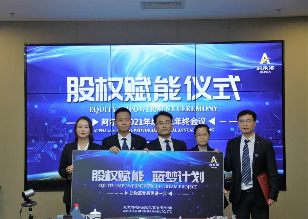 上市公司股权激励计划,梦想启航,共创未来