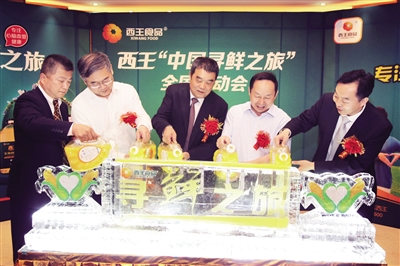 西王动态资讯,追溯其发展脉络与地位