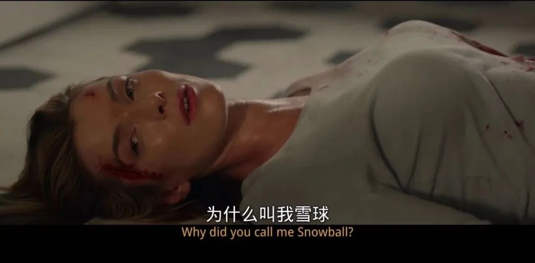 最新美国禁片在线解析,探索禁片的背后故事