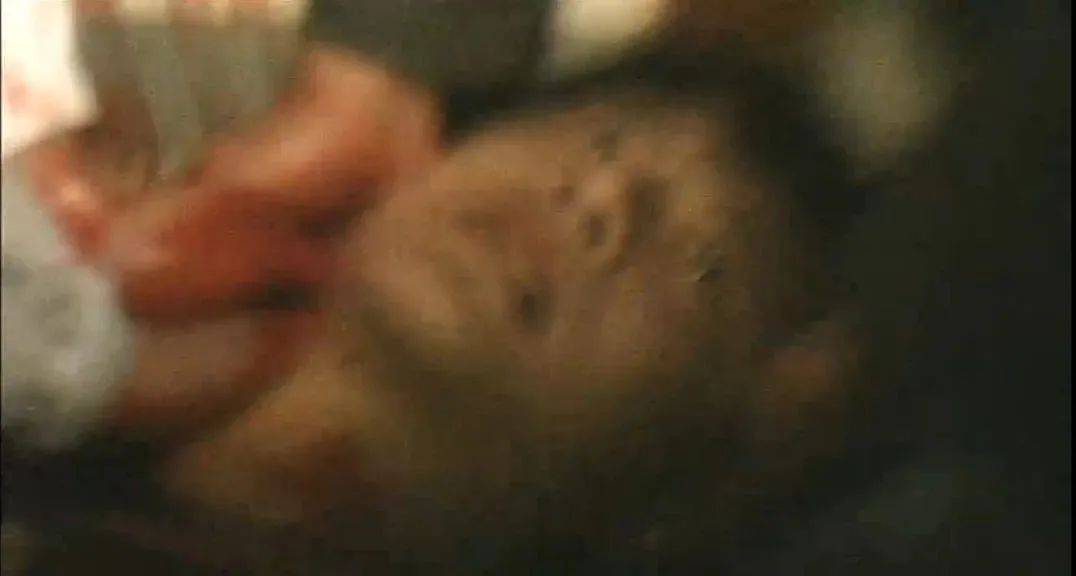 最新美国禁片在线解析,探索禁片的背后故事