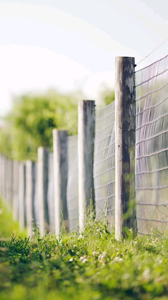 社旗最新独家庭院照片拍摄与欣赏,详细步骤指南(初学者/进阶用户适用)