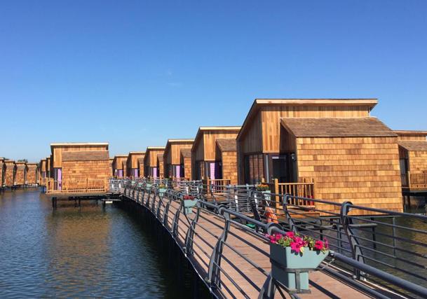 负数的股票,逆风翻盘的股市励志故事