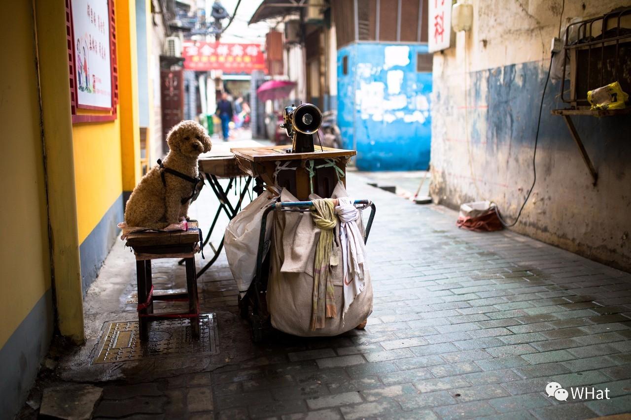 徐州和平壹号新动态，巷弄中的惊喜——特色小店探秘