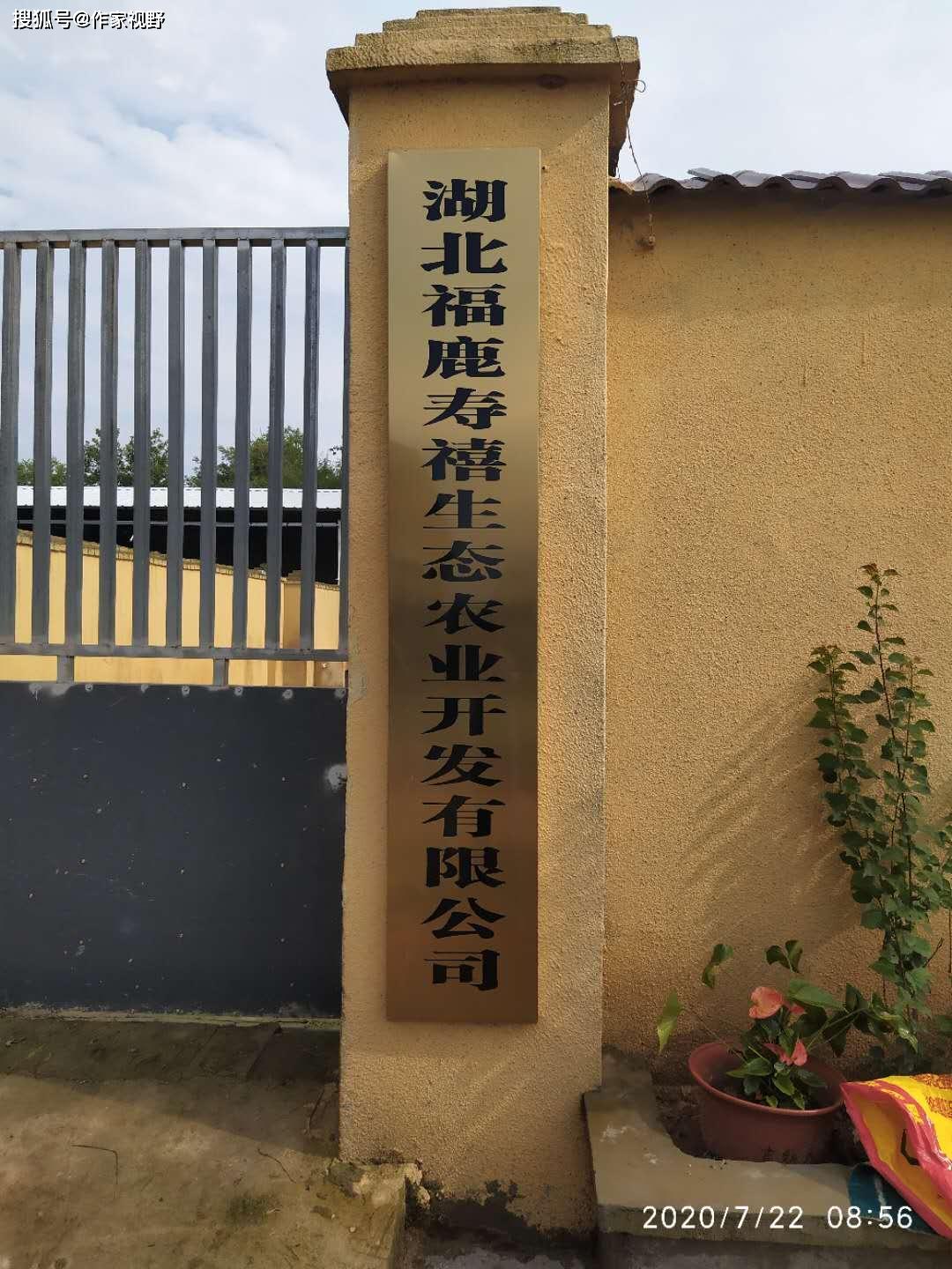 红安开发区动态资讯