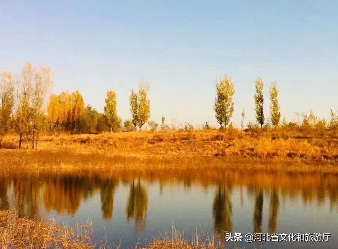 河北最新分割动态🔥🌃