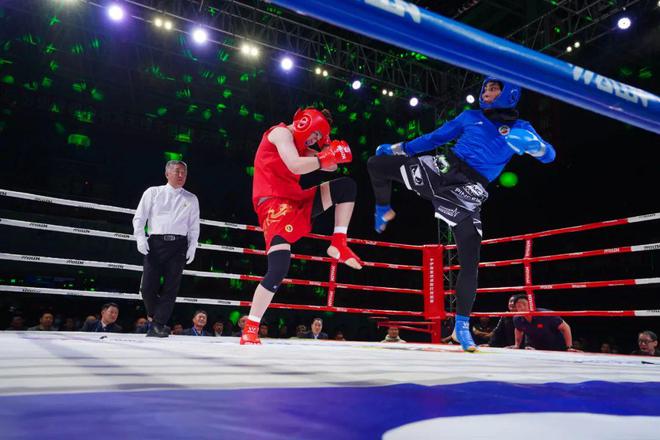 柳雷散打比赛直播视频,一场热血沸腾的武艺盛宴