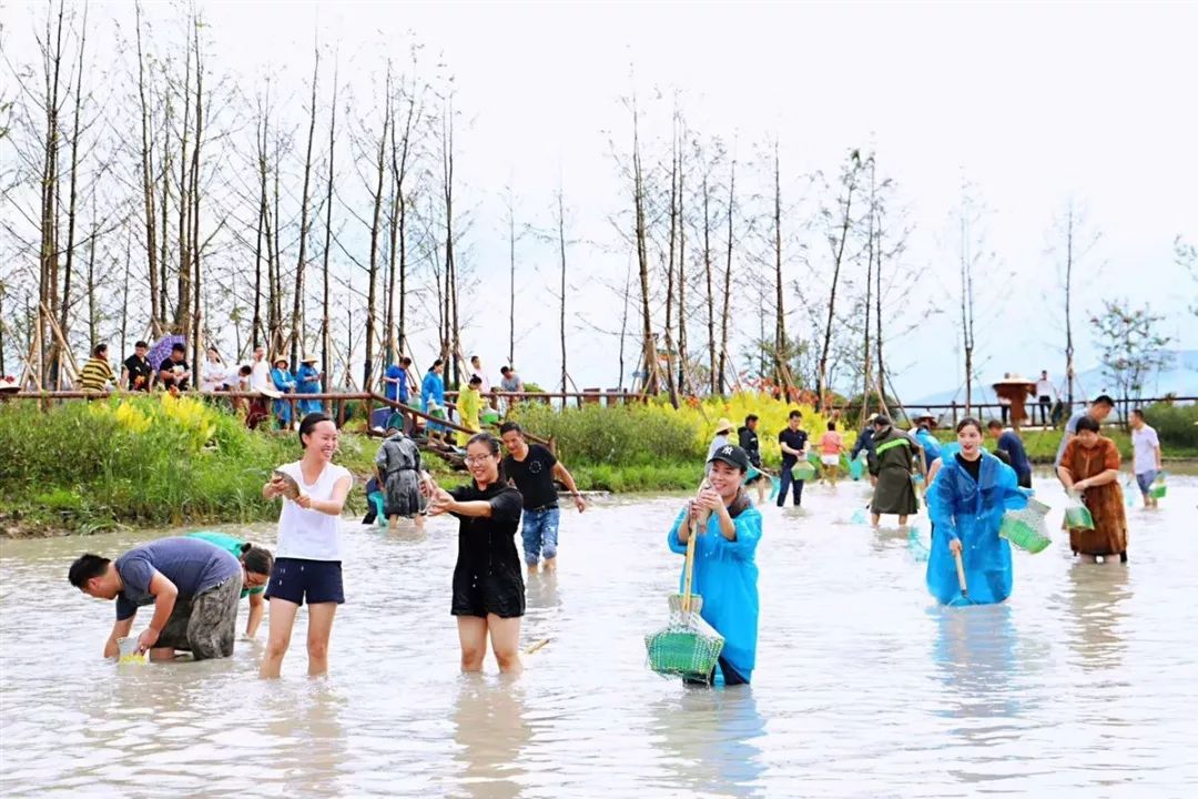 湖州最新汛情下的欢乐时光