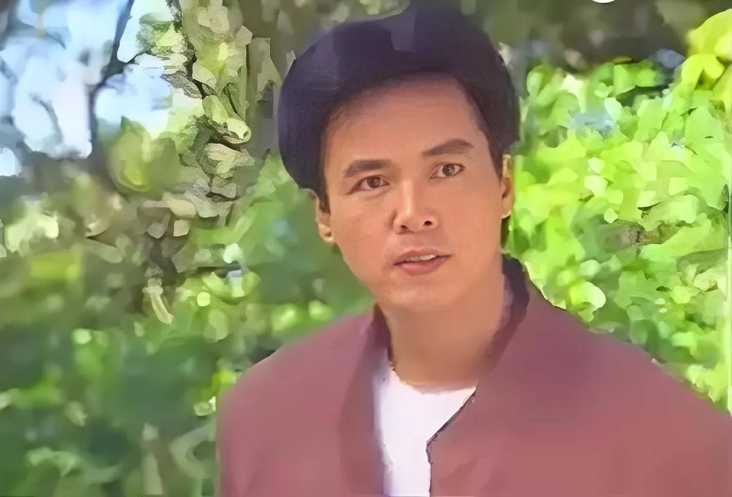 琼瑶剧男演员,演技与角色的魅力展现