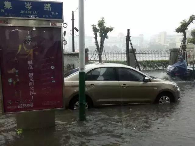 厦门暴雨最新消息,风雨中的励志篇章