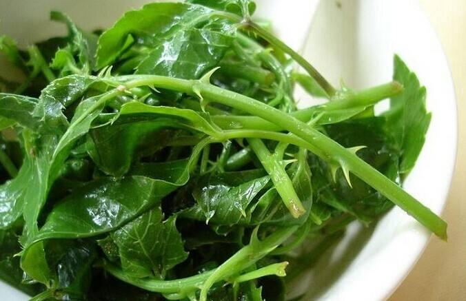 香港美容资讯速览——全面指南