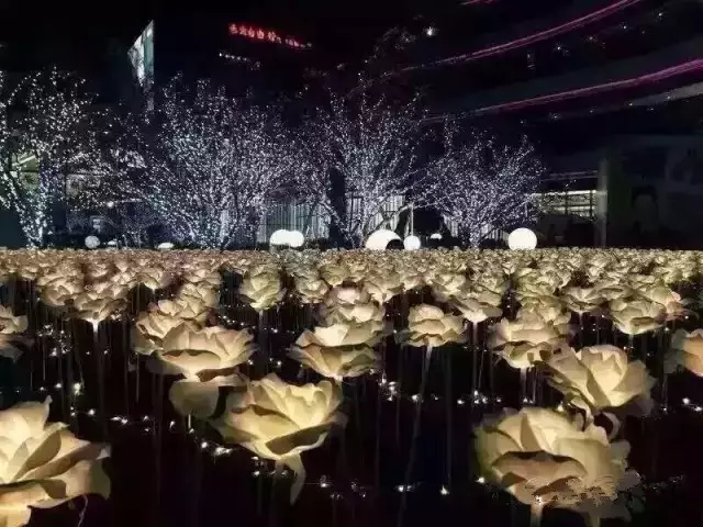 深圳最新交通管制区域,爱的导航与陪伴的旅程