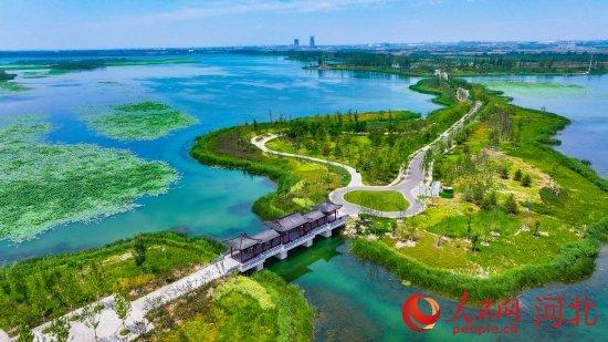 雄安新区最新资讯,探索自然美景,重拾内心的宁静之旅