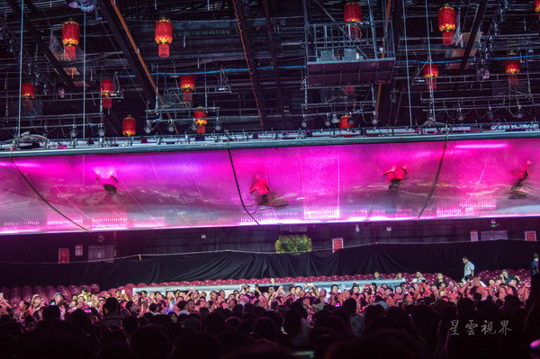 一龙最近比赛,自然之旅的心灵觉醒