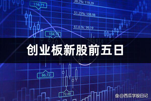 创业板股票大盘点📈 探寻股市新星🌟