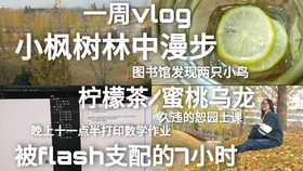 55岁招聘资讯更新——小巷深处的独特小店等你来探索!