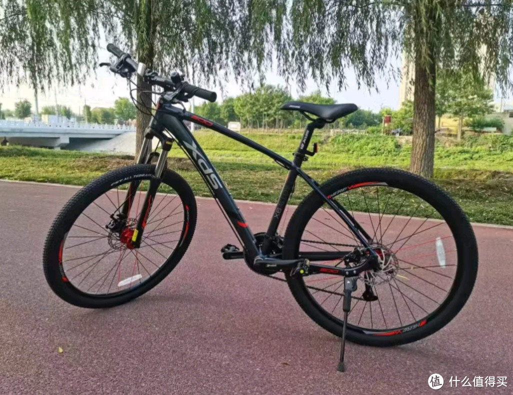 喜德盛自行车价格,深入解析与观点阐述