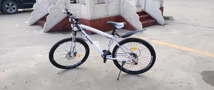 喜德盛自行车价格,深入解析与观点阐述