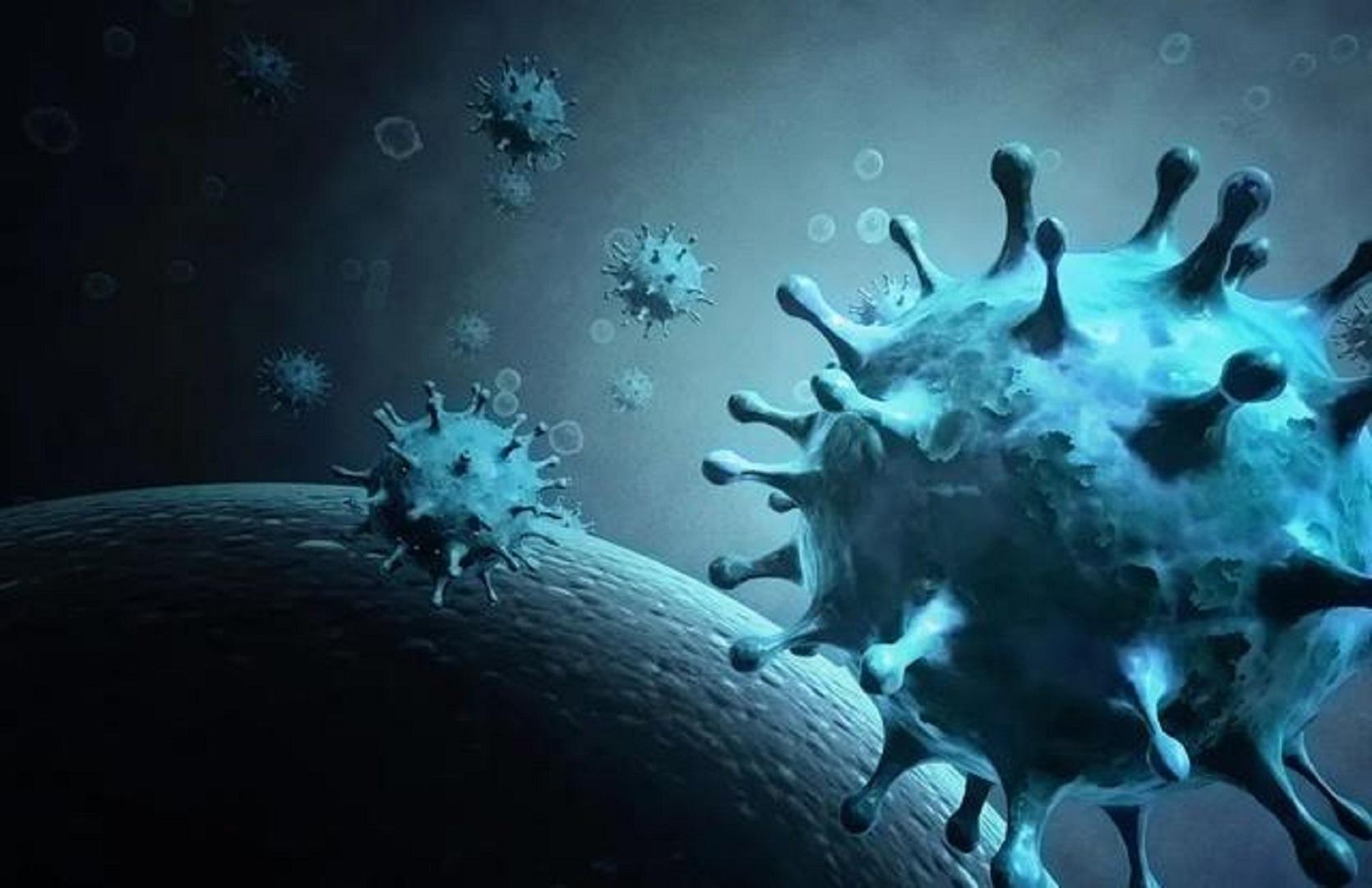 最新病毒数据,揭示未知与挑战的时代