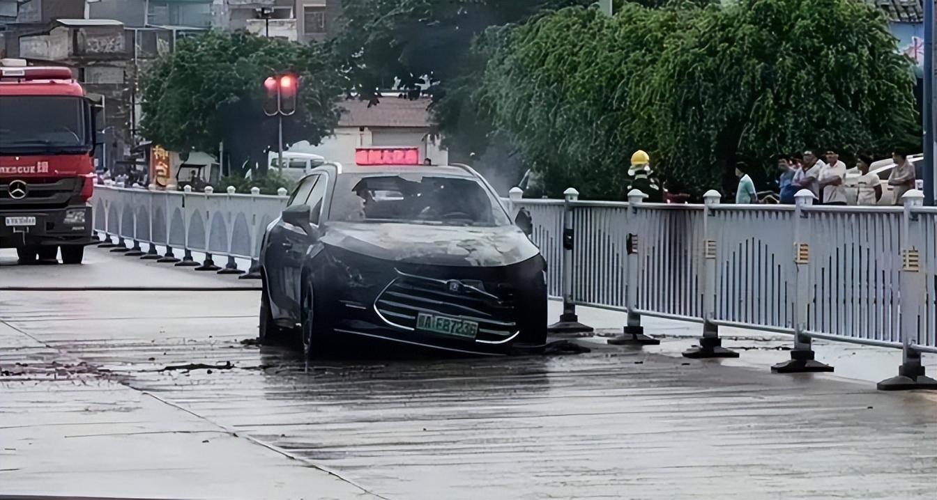 全球上市公司市值排名,深度解析与观点阐述