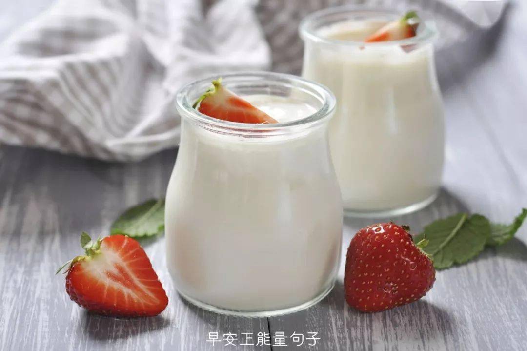 酸奶行情,一场寻找内心平静的酸奶之旅