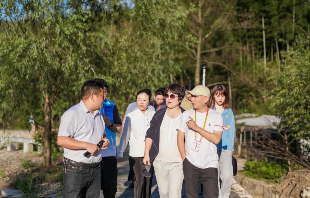 金寨最新房产,追梦的旅程与家的新篇章