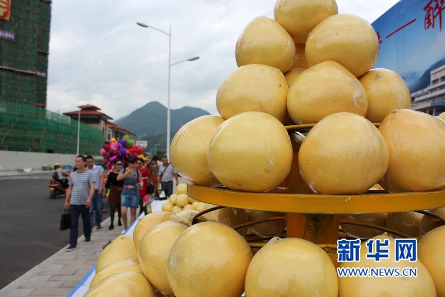 最新致富神器，与自然美景共舞，寻找内心的平和与财富
