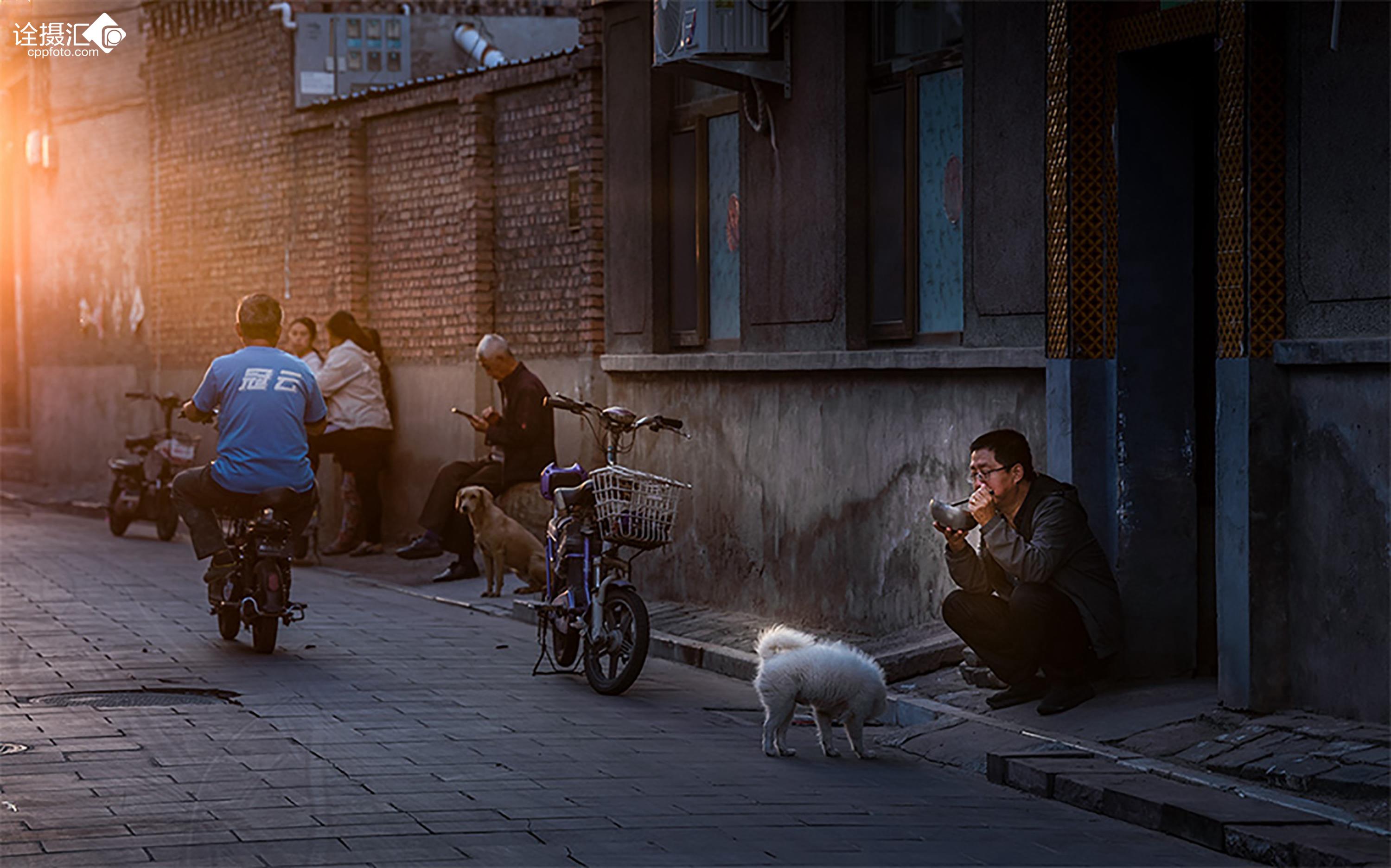 侯霄霖新作品,城市巷弄里的温情日常