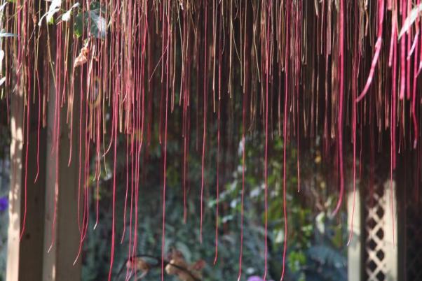 探寻自然美景之旅,与16平方铜线的意外邂逅